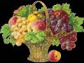 <b>Категории: </b>Ягоды, фрукты <br><b>Размеры:</b> 500x358, 205.9 Кб