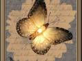 <b>Категории: </b>Бабочки <br><b>Размеры:</b> 458x458, 151.5 Кб